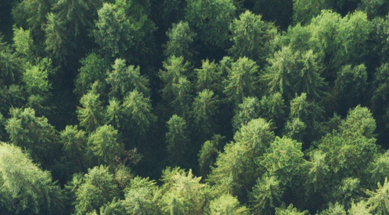 EAC - ISO 14001:2015 1st/2nd Party Lead Auditor | 17-21 November 2025 (RR) ID80200